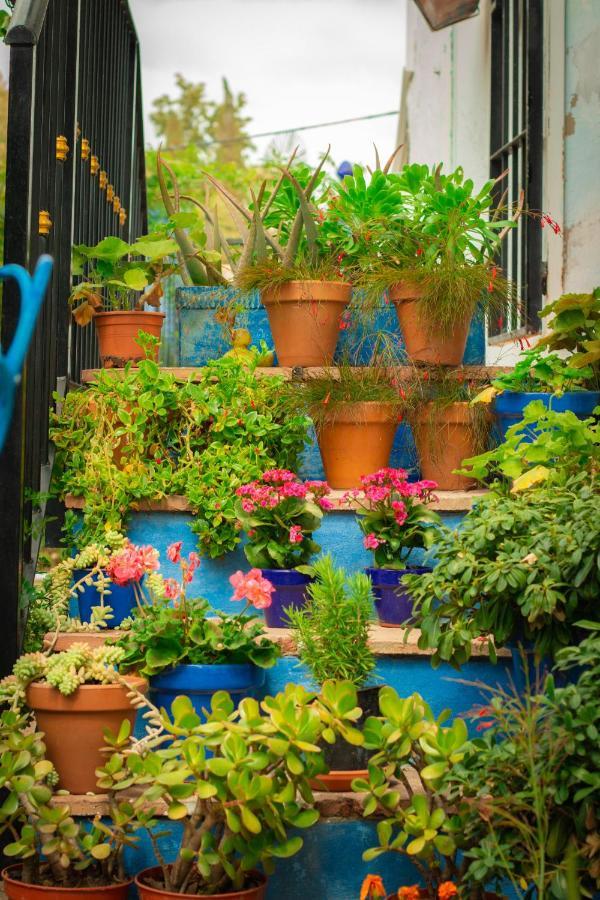 Bohemian Villa - Malaga Алора Екстериор снимка